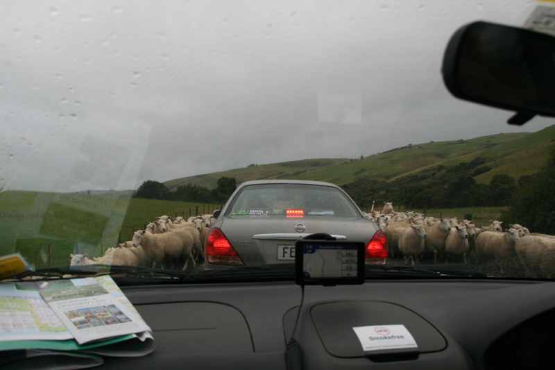 Nieuw-Zeeland 2011 - 1902